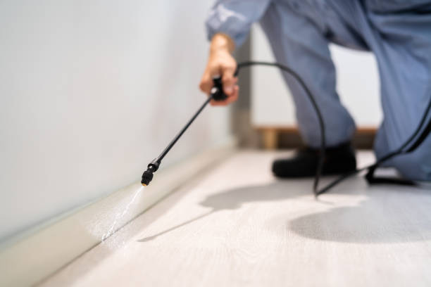 Professional exterminator conducting IPM assessment in Carnesville