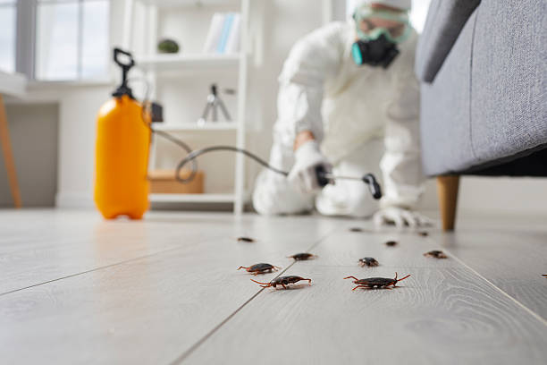 Commercial Rodent Management in Carnesville